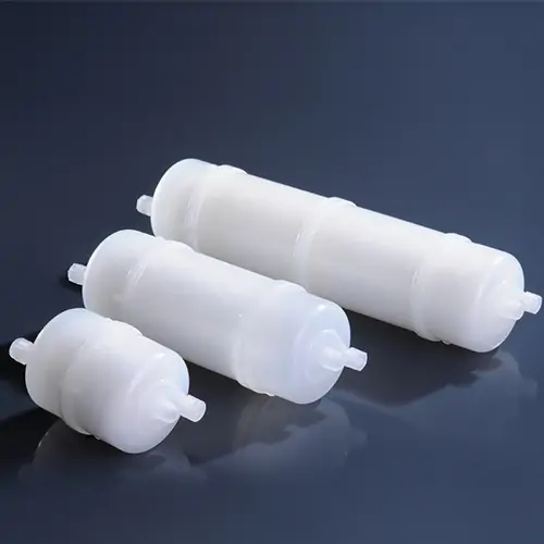 Capsule Filter